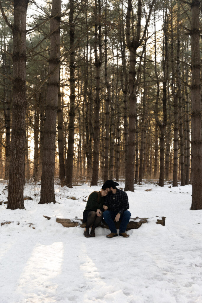 Couple in Pine Trees in Kansas City's Burr Oak Woods Conservation Area.