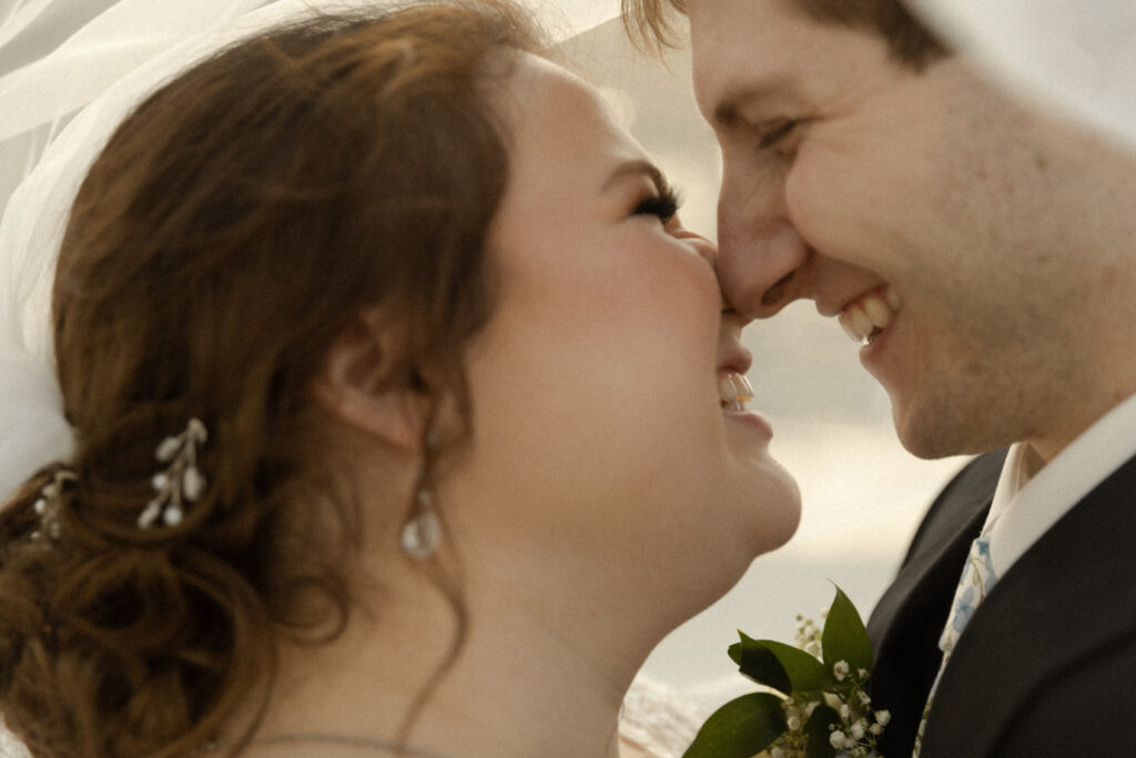 Couple kissing under wedding veil.