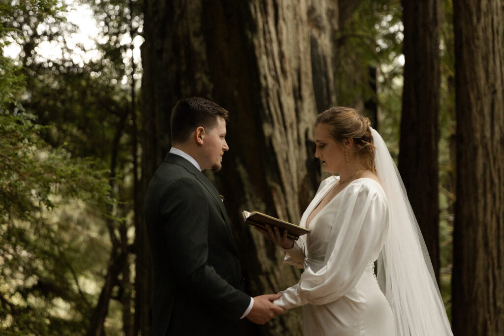 Vow Exchange at a Redwood National Park Elopement